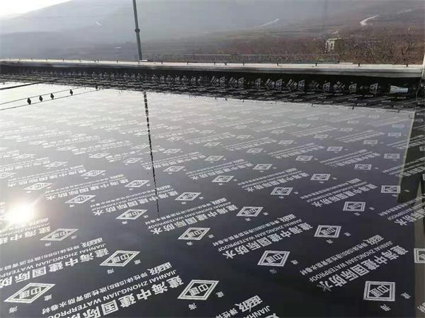 長(cháng)清風(fēng)電新能源屋面防水 (2).jpg